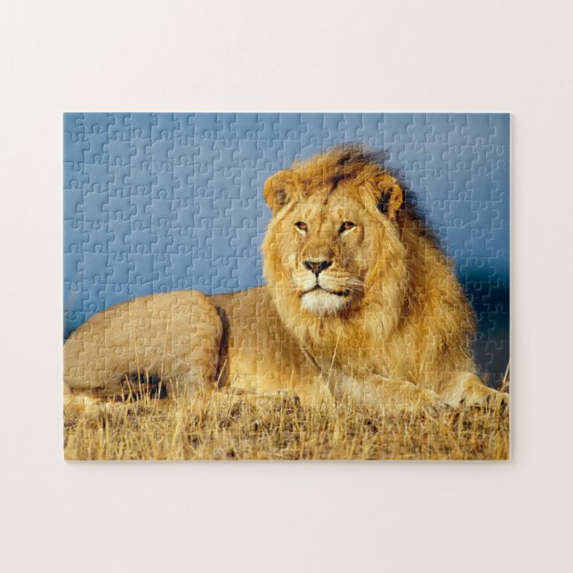 Puzzle León africano 2 (Horizontal)