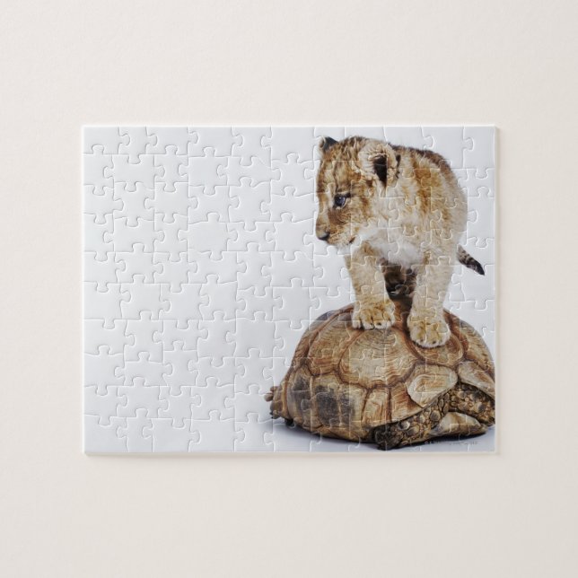 Puzzle León bebé parado en la tortuga, fondo blanco (Horizontal)