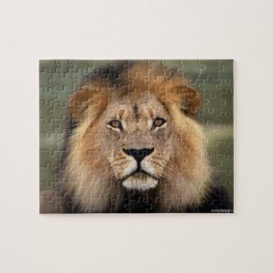 Puzzle León - el rey de la selva