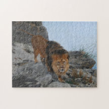 León en las montañas (por Richard Friese)