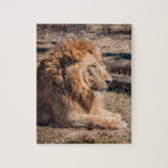 Puzzle León majestuoso<br><div class="desc">León macho majestuoso</div>