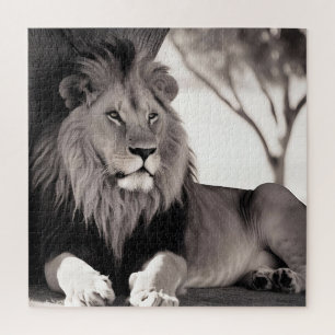 Puzzle León mallístico africano negro y blanco