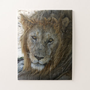 Puzzle León mayor animal salvaje