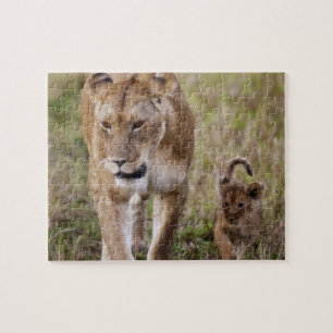 Puzzle Leona hembra con cachorro