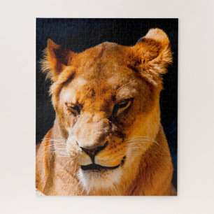 Puzzle Leonas Grandes Felinos.