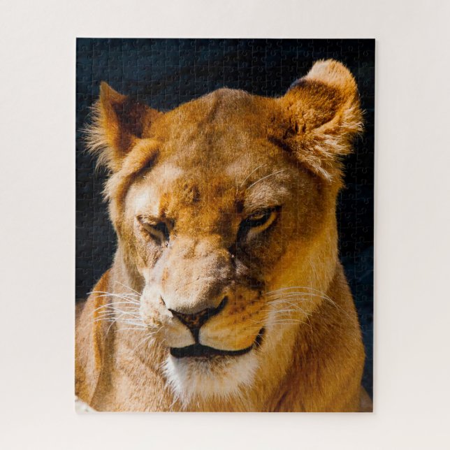 Puzzle Leonas Grandes Felinos. (Vertical)