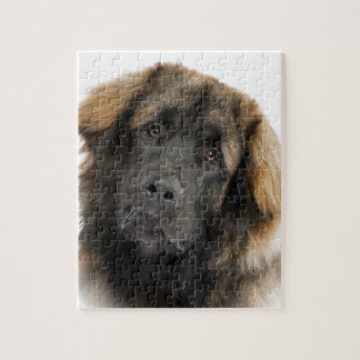 Puzzle Leonberger