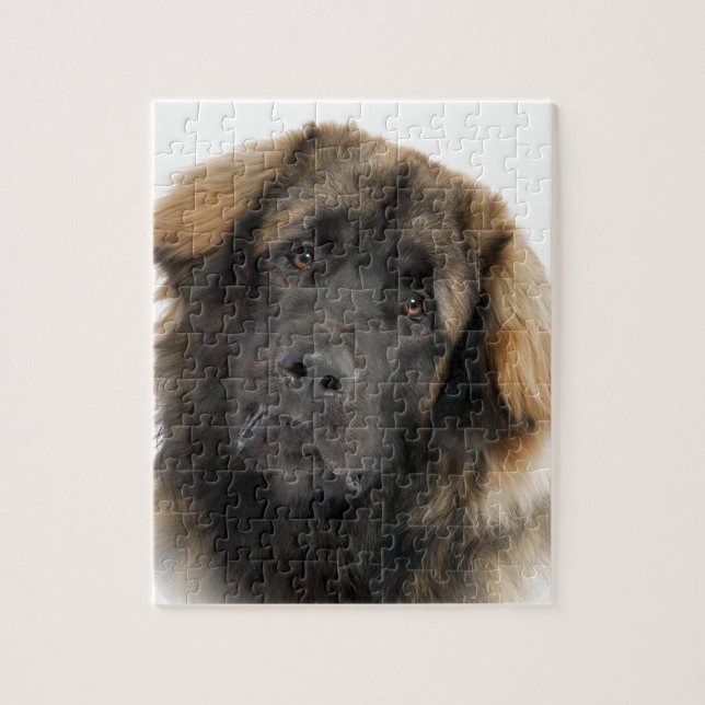 Puzzle Leonberger (Vertical)