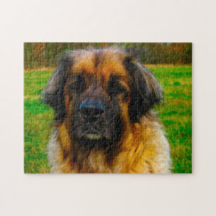 Puzzle Leonberger Dog Rama Jigsaw.