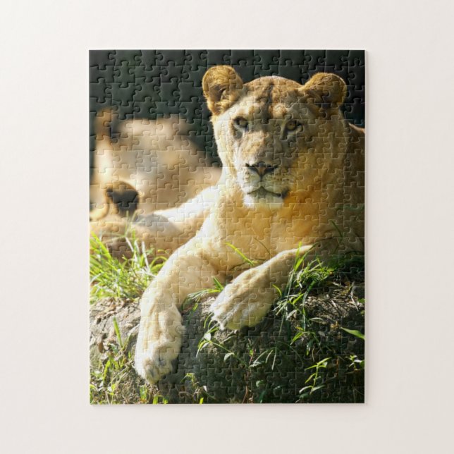 Puzzle Leones (Vertical)