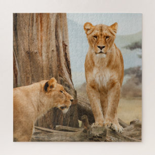 Puzzle Leones explorando árboles muertos