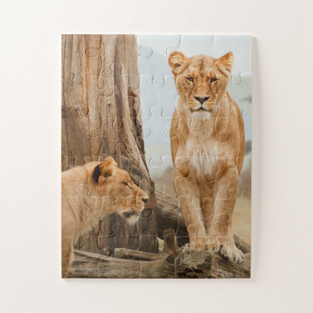 Puzzle Leones explorando árboles muertos (Vertical)