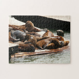 Puzzle Leones Marinos Asoleándose en San Francisco