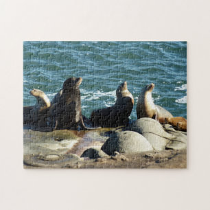 Puzzle Leones marinos de San Diego