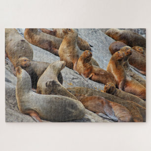 Puzzle Leones marinos en Patagonia, Chile