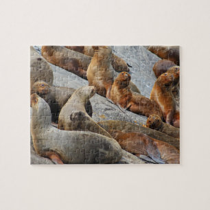 Puzzle Leones marinos en Patagonia, Chile