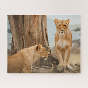 Puzzle Leones mujeres recorren árboles muertos