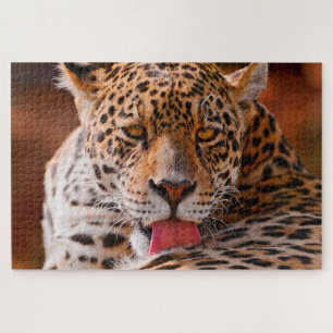 Puzzle Leopard limpiando sus patas en el suelo