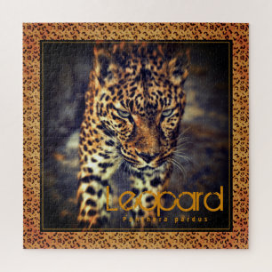 Puzzle Leopard [rompecabezas cuadrado]