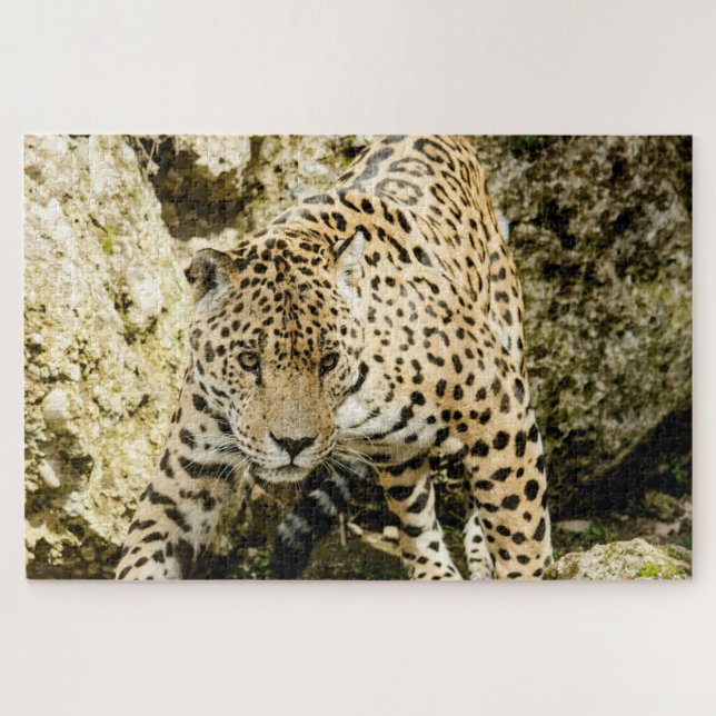 Puzzle Leopardo (Horizontal)