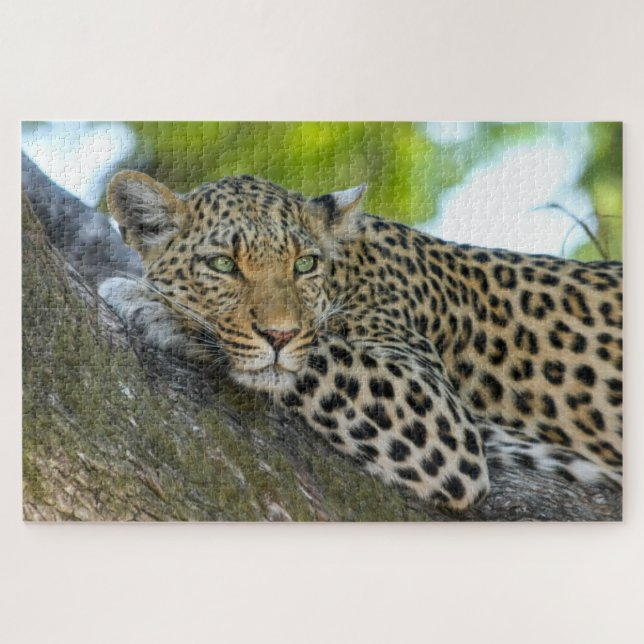 Puzzle Leopardo africano de Botsuana (Horizontal)