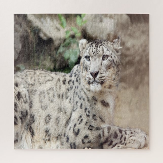 Puzzle Leopardo de la nieve (Vertical)