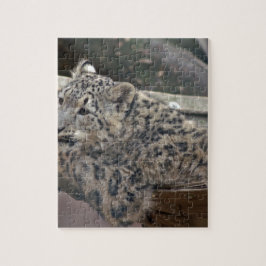 Puzzle Leopardo de la nieve