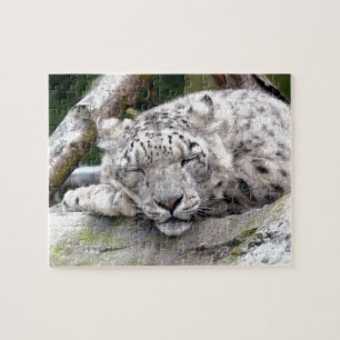 Puzzle Leopardo de la nieve - ¡hermoso!