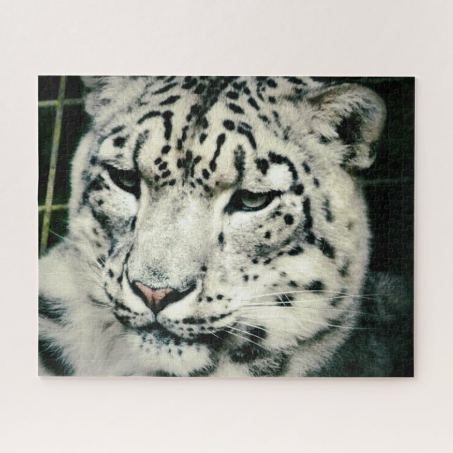 Puzzle Leopardo de las Nieves (Horizontal)