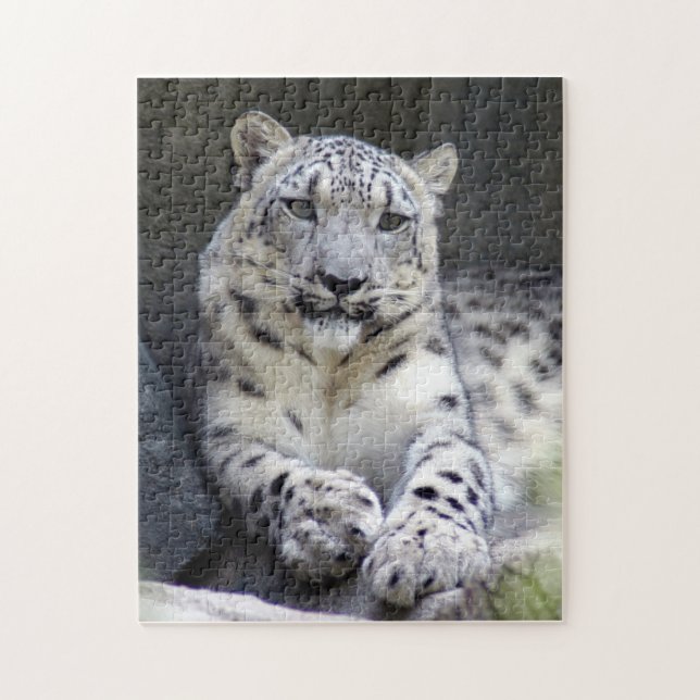 Puzzle leopardo de las nieves 27 (Vertical)
