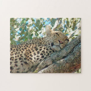 Puzzle Leopardo de ojos dorados