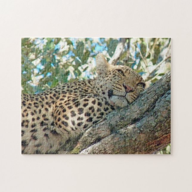 Puzzle Leopardo de ojos dorados (Horizontal)