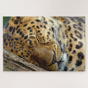 Puzzle Leopardo durmiendo en un tronco