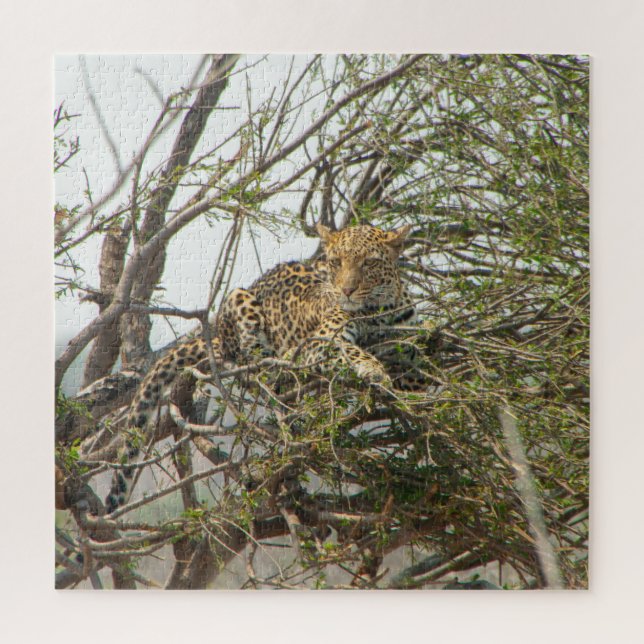 Puzzle Leopardo en árbol (Vertical)