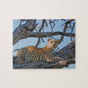 Puzzle Leopardo en árbol
