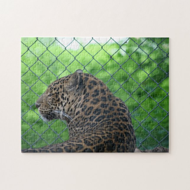 Puzzle Leopardo en cautiverio (Horizontal)