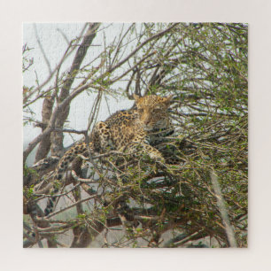 Puzzle Leopardo en el árbol