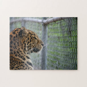 Puzzle Leopardo en jaula