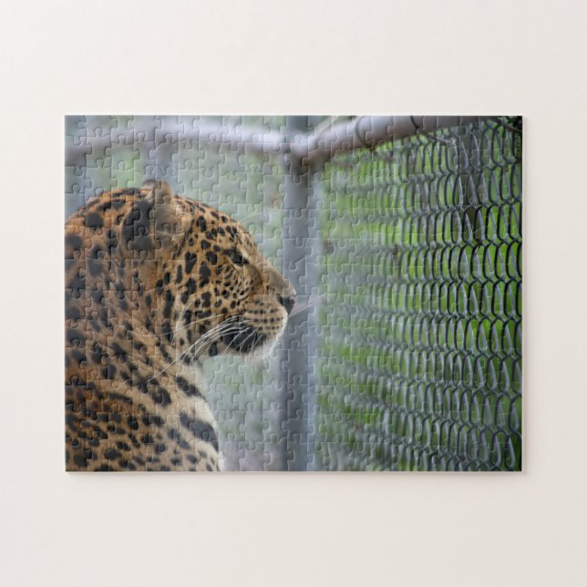 Puzzle Leopardo en jaula (Horizontal)