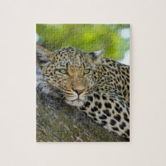 Puzzle Leopardo impresionante