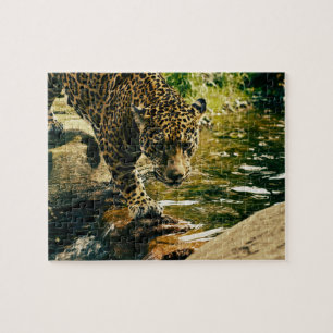 Puzzle Leopardo que cruza una corriente