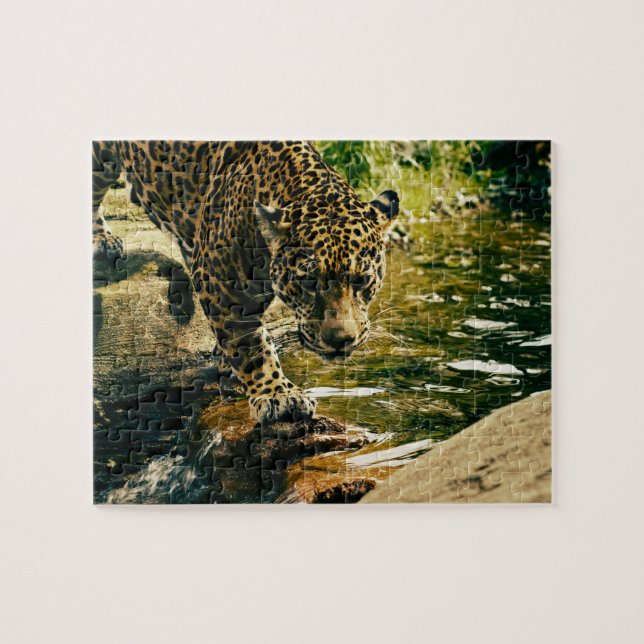 Puzzle Leopardo que cruza una corriente (Horizontal)