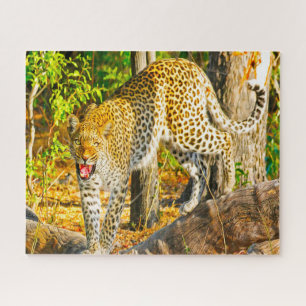 Puzzle Leopardos Grandes Gatos.