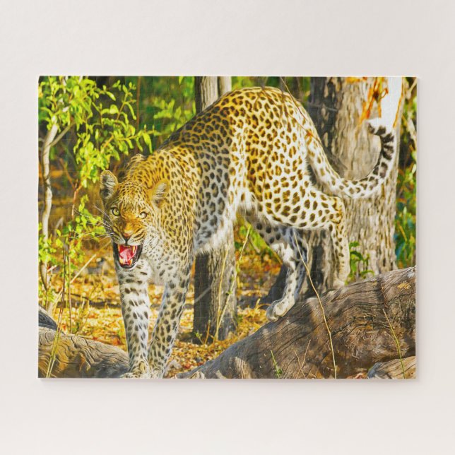 Puzzle Leopardos Grandes Gatos. (Horizontal)
