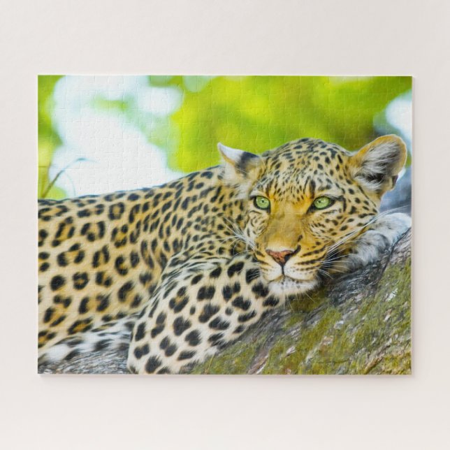 Puzzle Leopardos Grandes Gatos. (Horizontal)