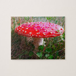 Puzzle Leprechauns, donde viven los pequeños Irlanda