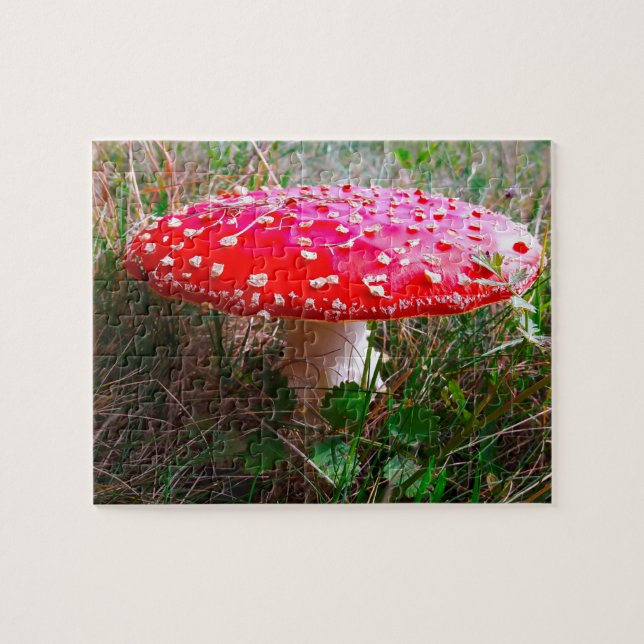 Puzzle Leprechauns, donde viven los pequeños Irlanda (Horizontal)