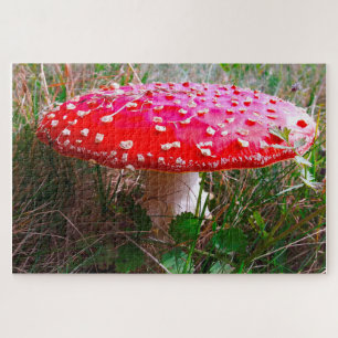 Puzzle Leprechauns, donde viven los pequeños Irlanda