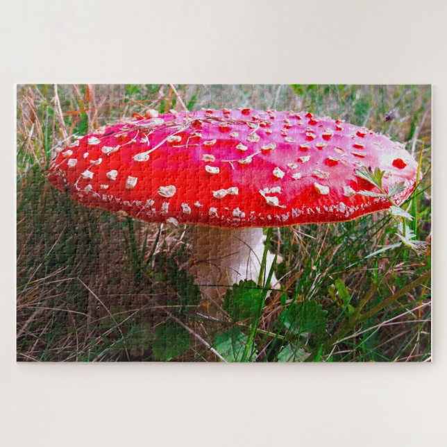 Puzzle Leprechauns, donde viven los pequeños Irlanda (Horizontal)