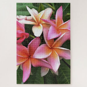 Puzzle Leyenda De Flor De Frangipani Pink Pálido